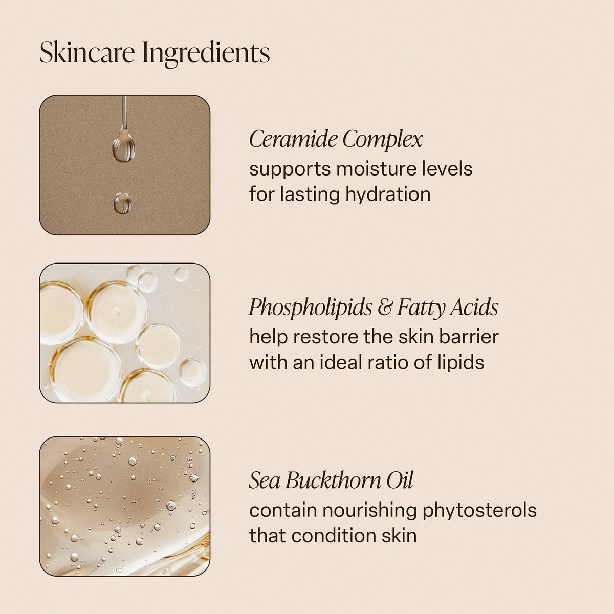 Shea Soleil - Body Butter